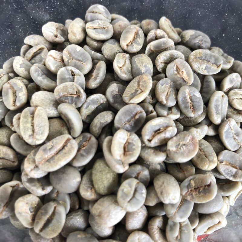 焙煎用コーヒー豆